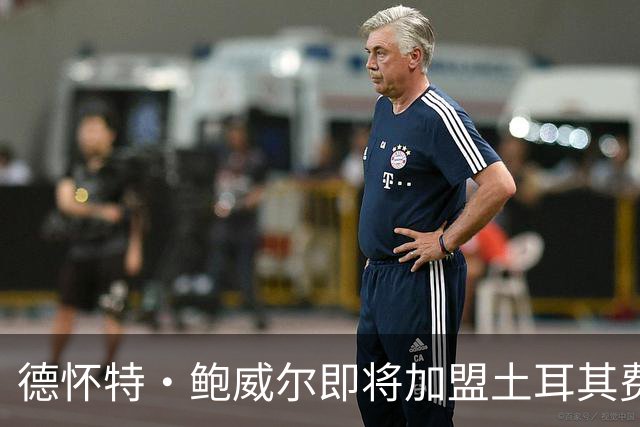 德怀特·鲍威尔即将加盟土耳其费内巴切篮球俱乐部